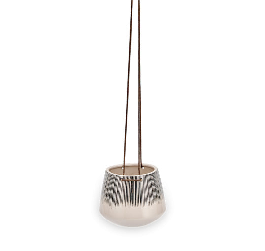 Planters with real indoor plants