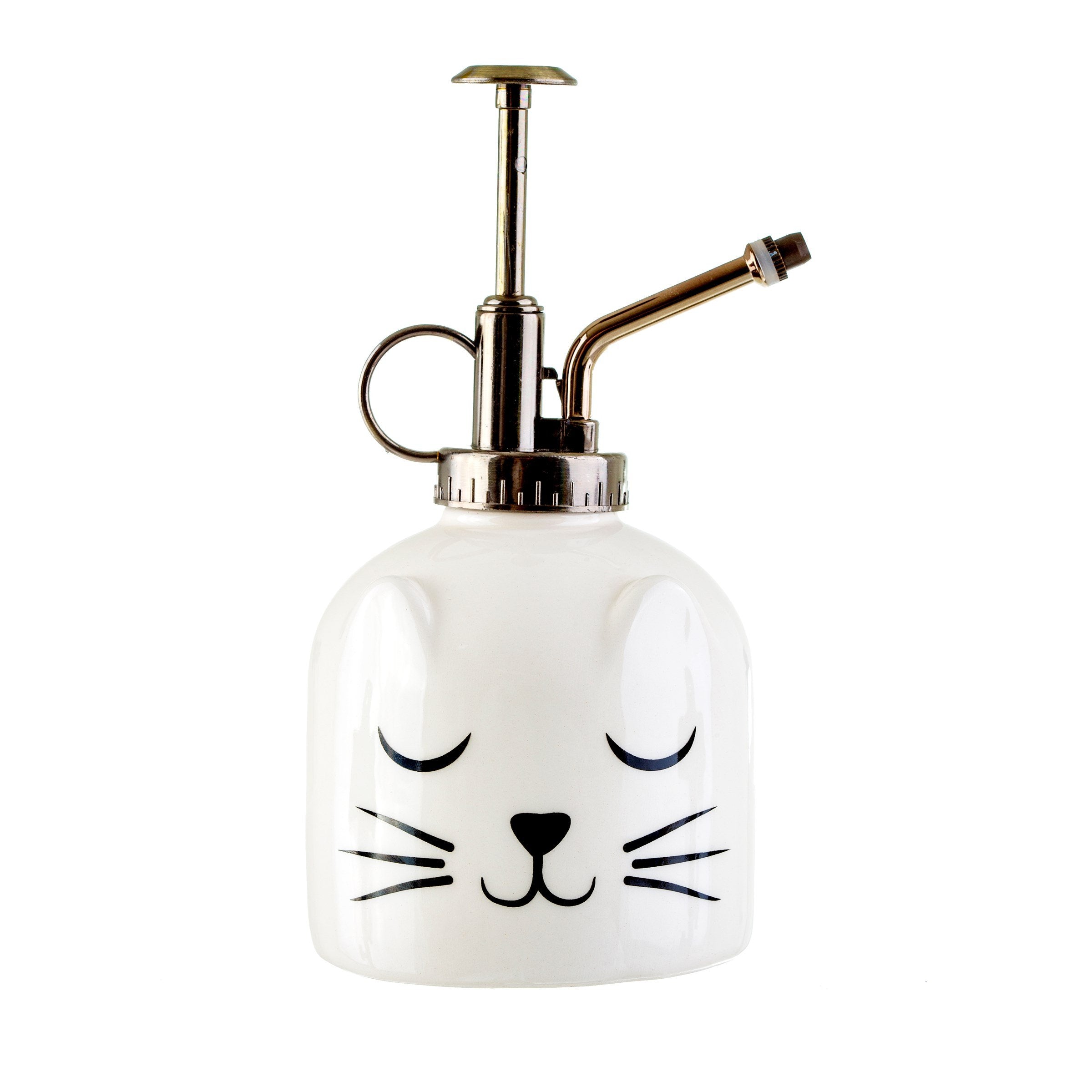 Water Mister for House Plants