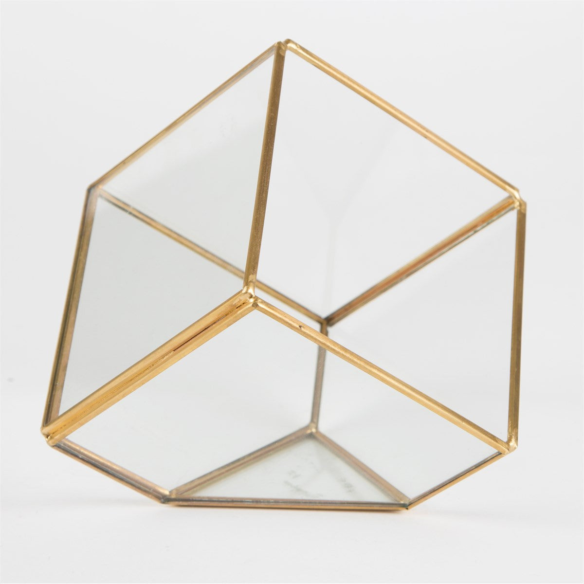 Square Geometric Terrarium Kit with an Elegant Air Plant