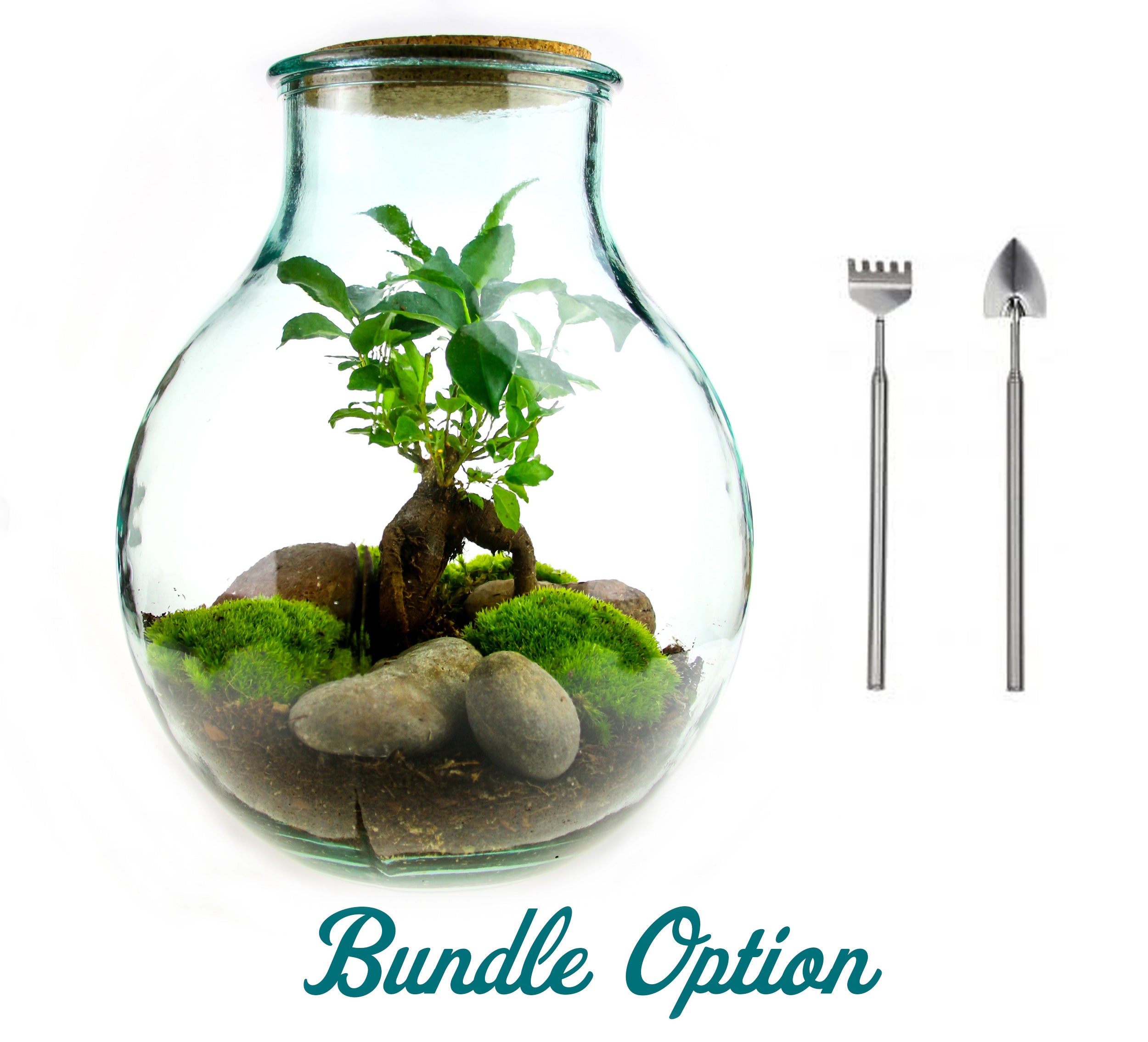 Terrarium kit with 2 piece terrarium tool set