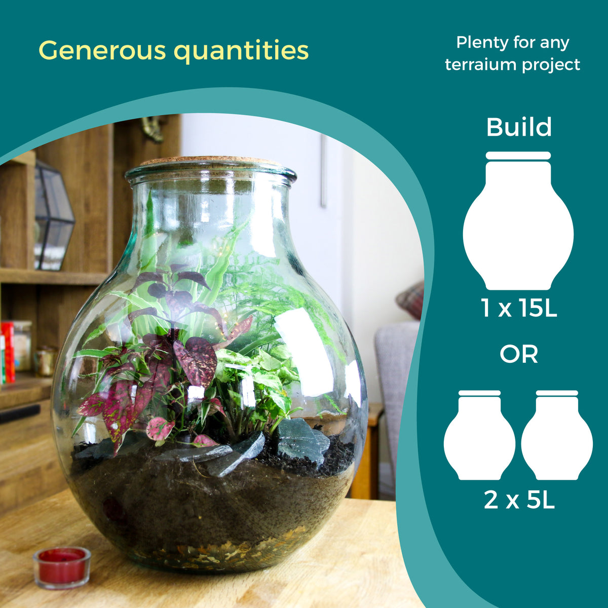 Mouldy closed terrarium revived and brought back to life with fresh plants and soil