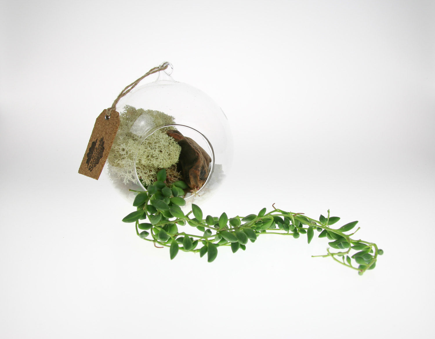 Beautiful Glass Terrarium ideas