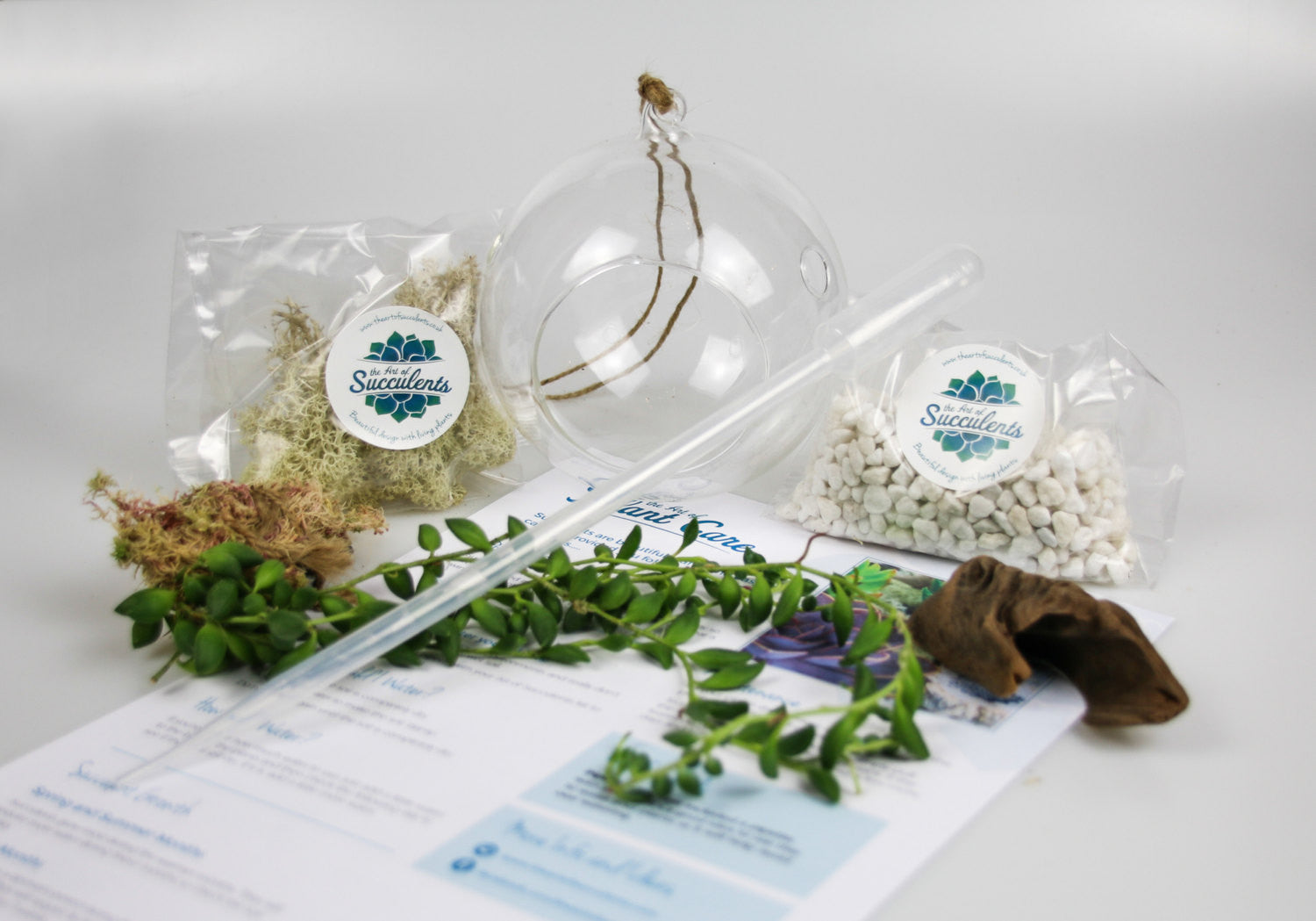 Equipment for a terrarium kit