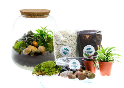Terrarium kit with plants, gift ideas