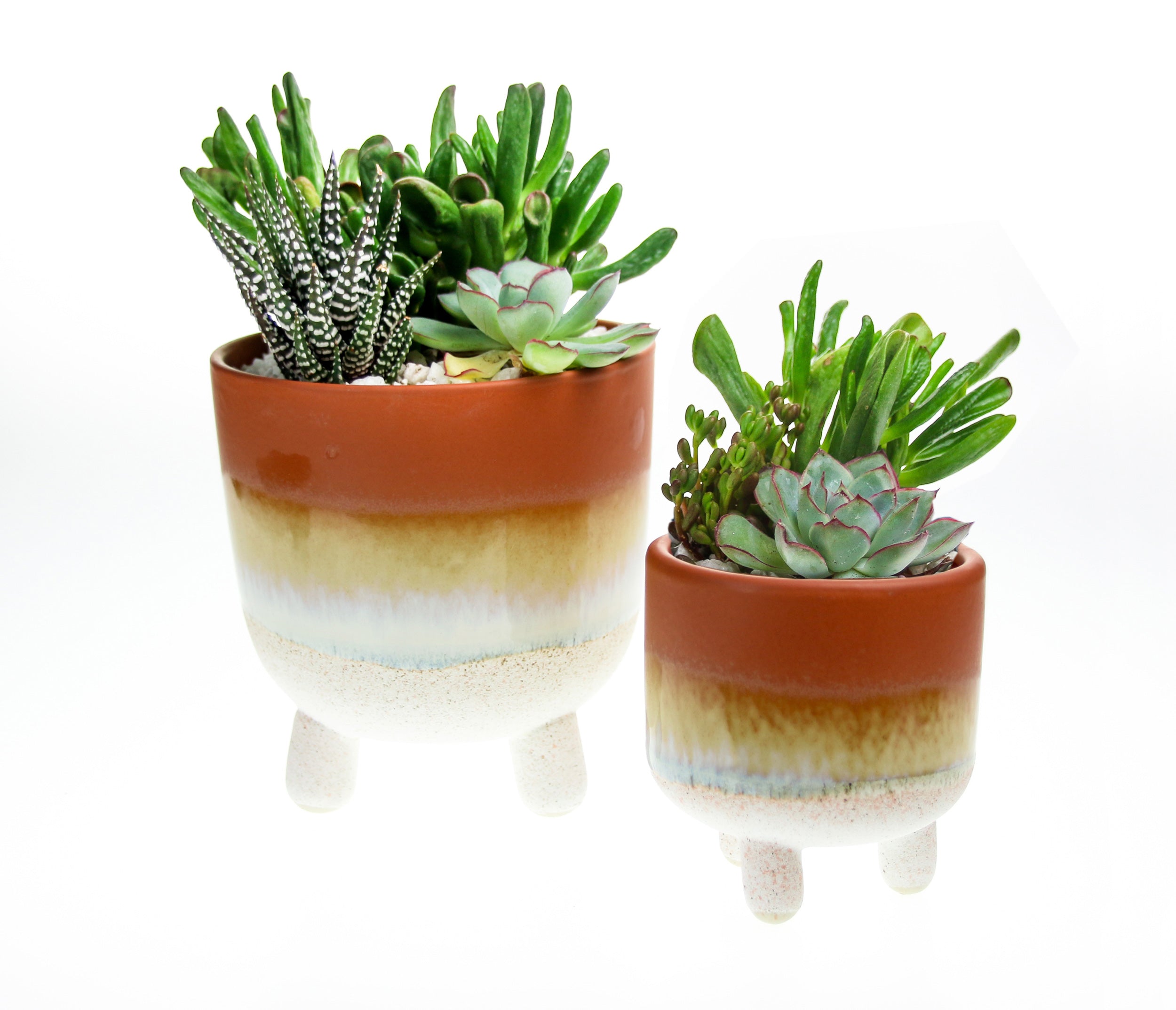 Terracotta stoneware planters with succulent houseplants