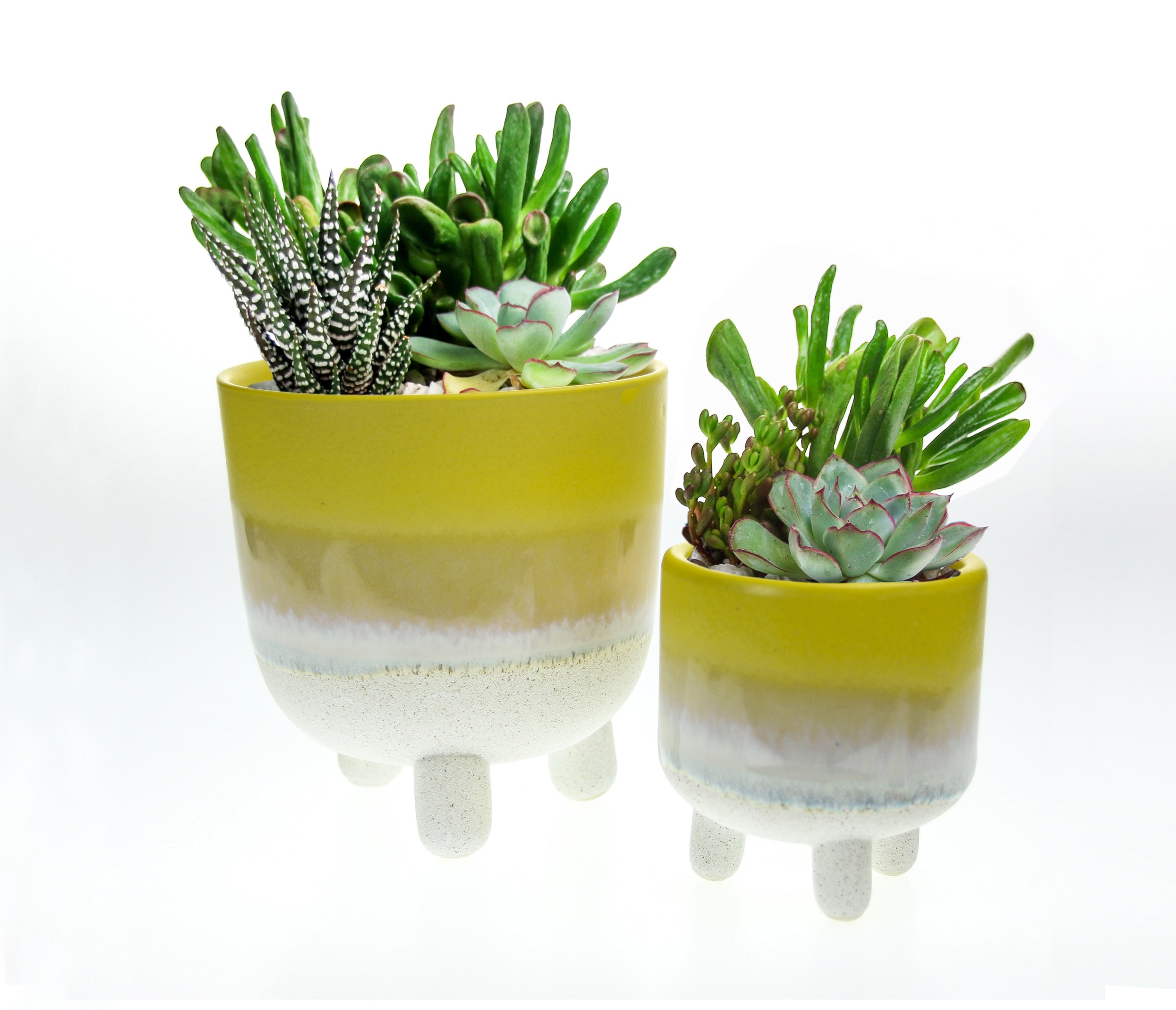 Yellow glazed indoor stoneware planters