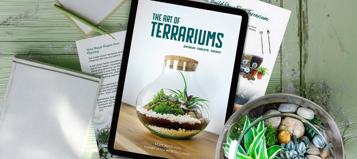 Book about terrariums