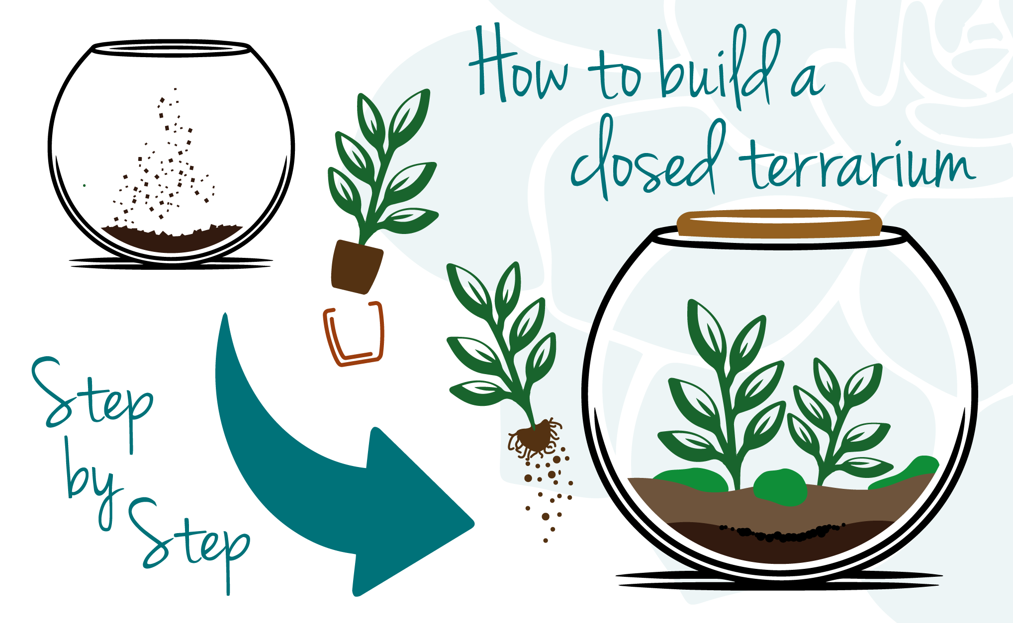 How to build a closed terrarium from a terrarium kit