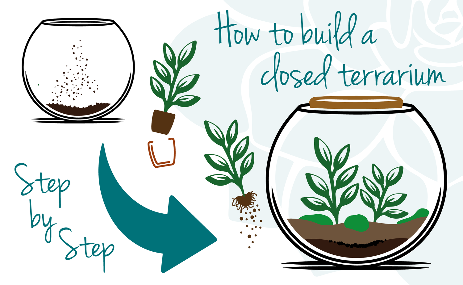 How to build a closed terrarium from a terrarium kit