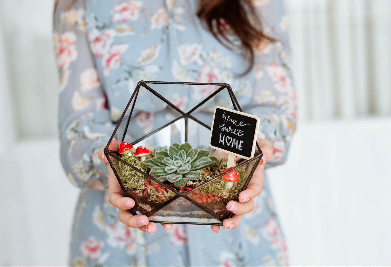 The best terrarium gifts for plant lovers in the UK