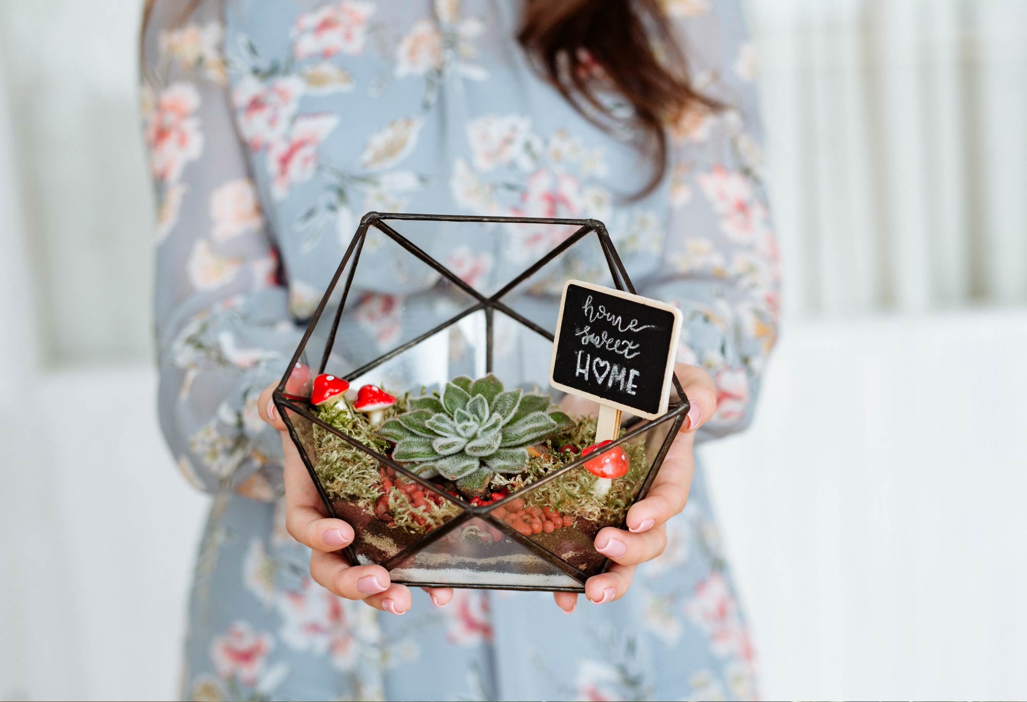 The best terrarium gifts for plant lovers in the UK