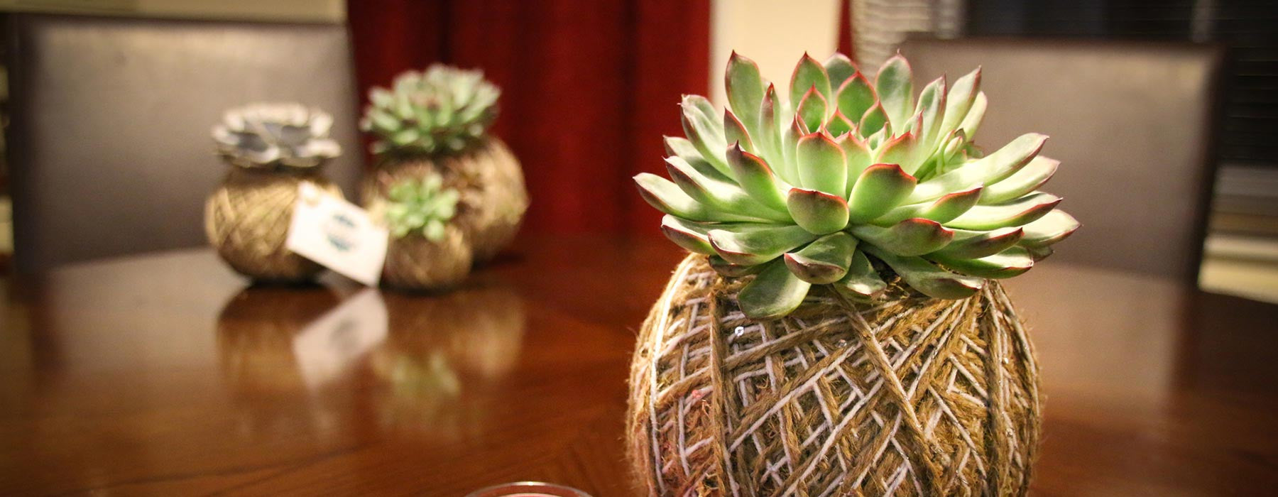 Kokedama