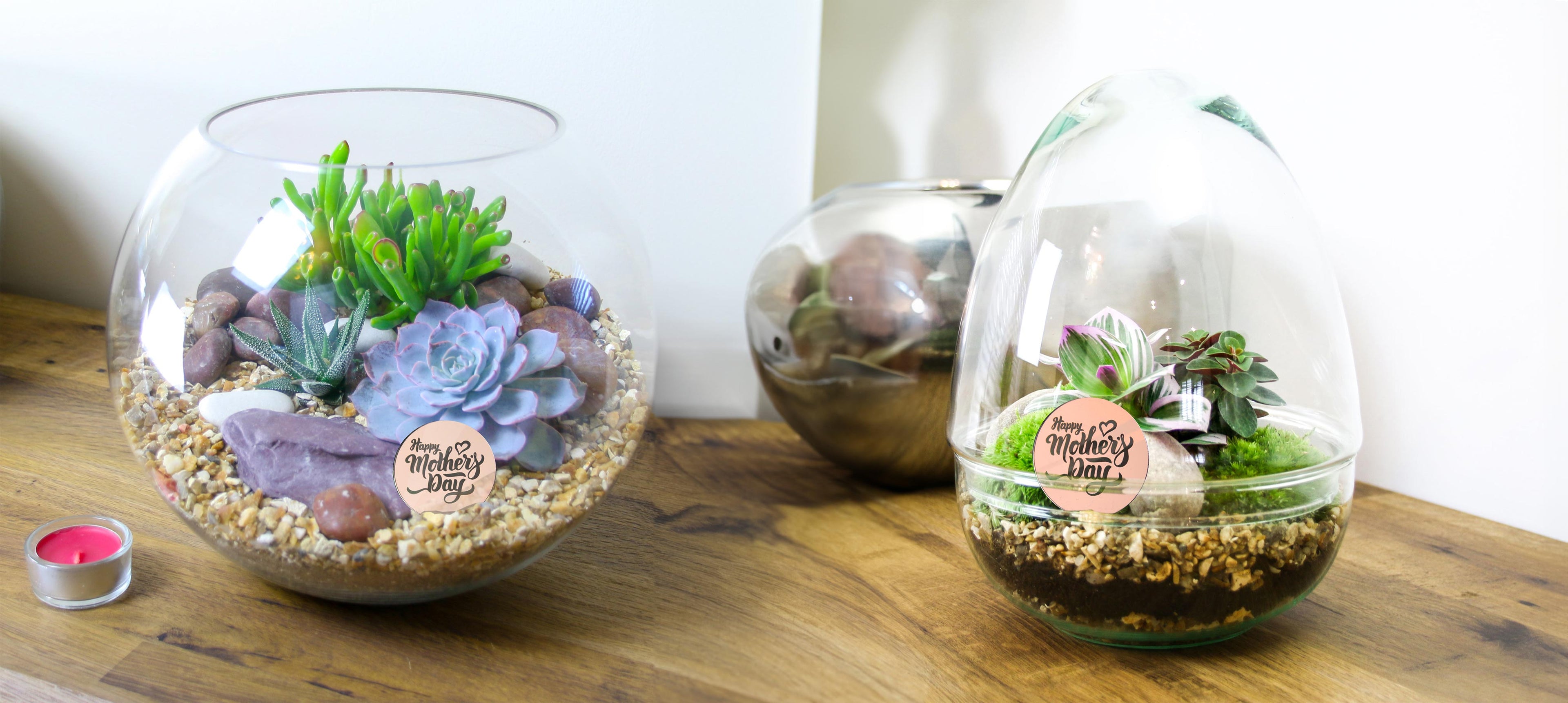 Mother's Day terrarium gift ideas with living plants