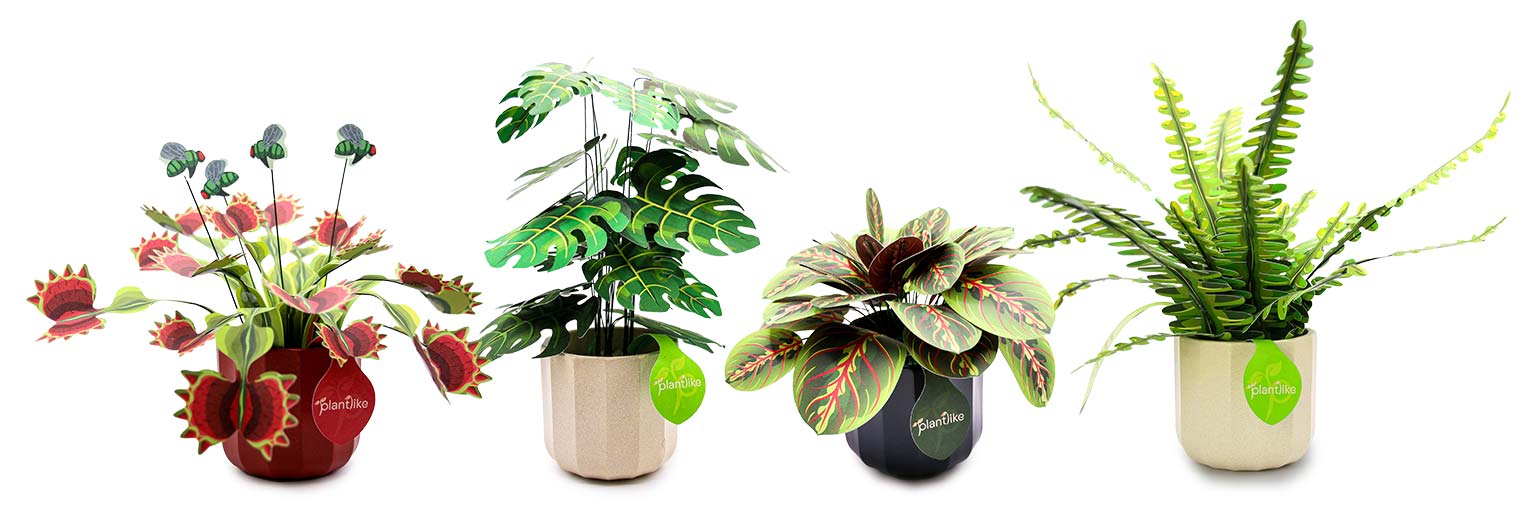 Collection of Plantlike paper plant craft kits including the Prayer Plant in ceramic pots.