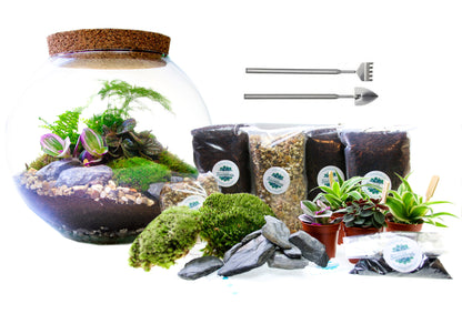Complete terrarium kit with glass fishbowl, moss, plants, activated charcoal and terrarium tool set