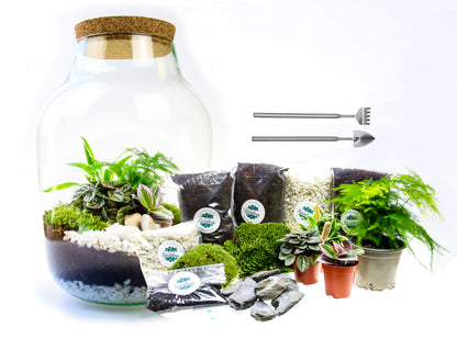 Complete terrarium kit to assemble at home