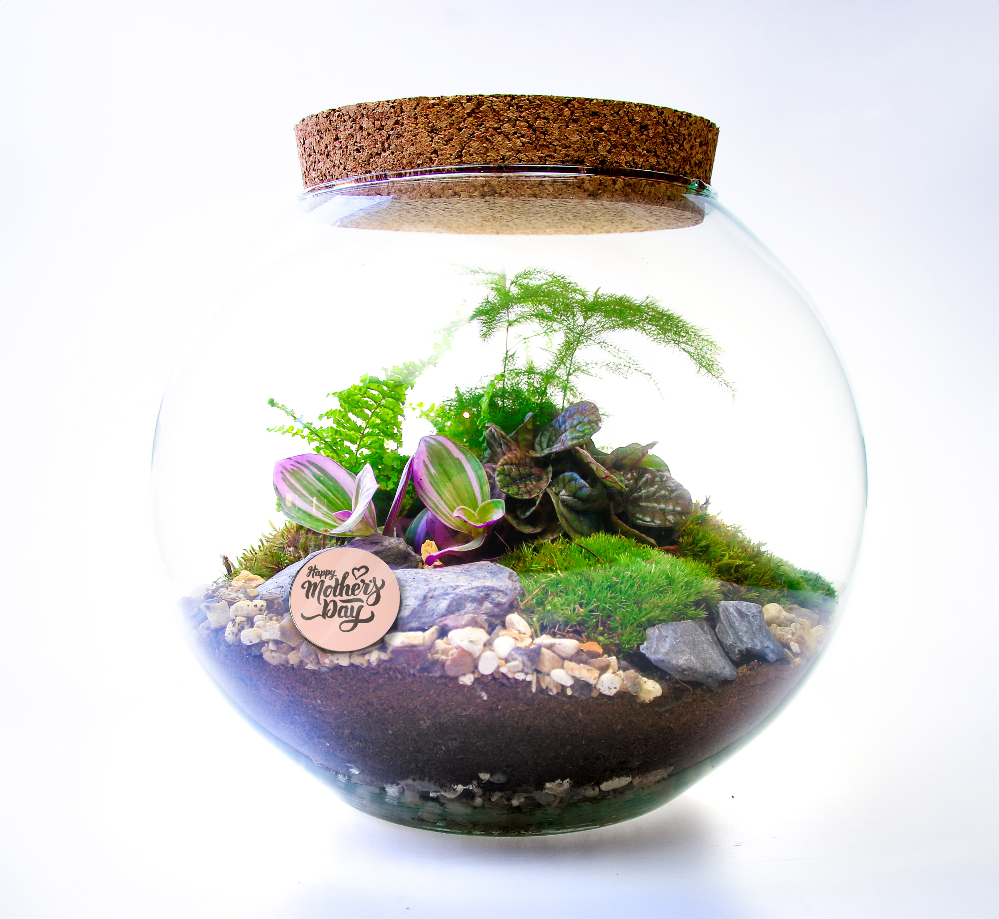 How to build a terrarium