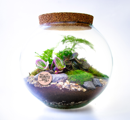 How to build a terrarium