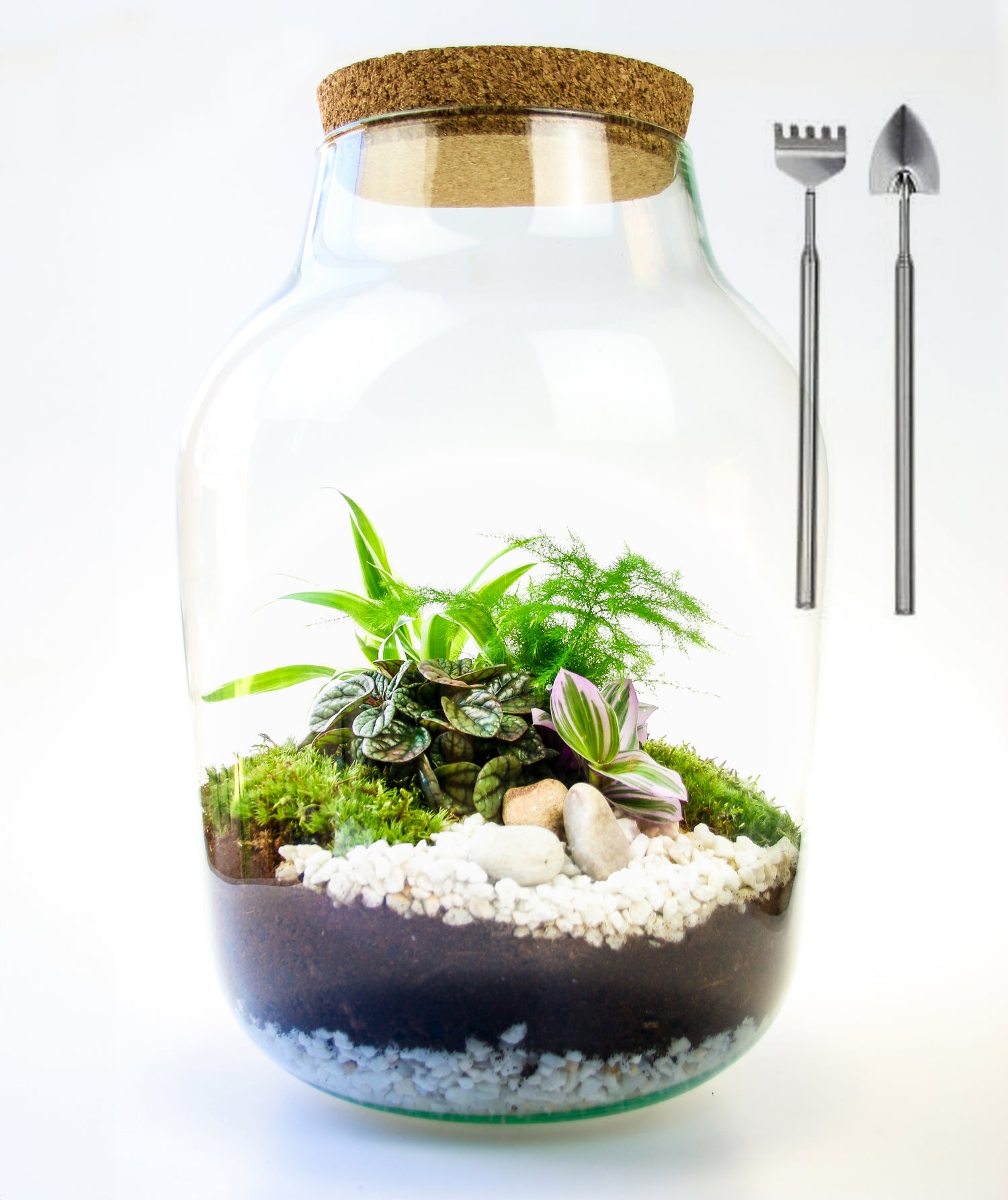 Terrarium kit with glass jar and tool set