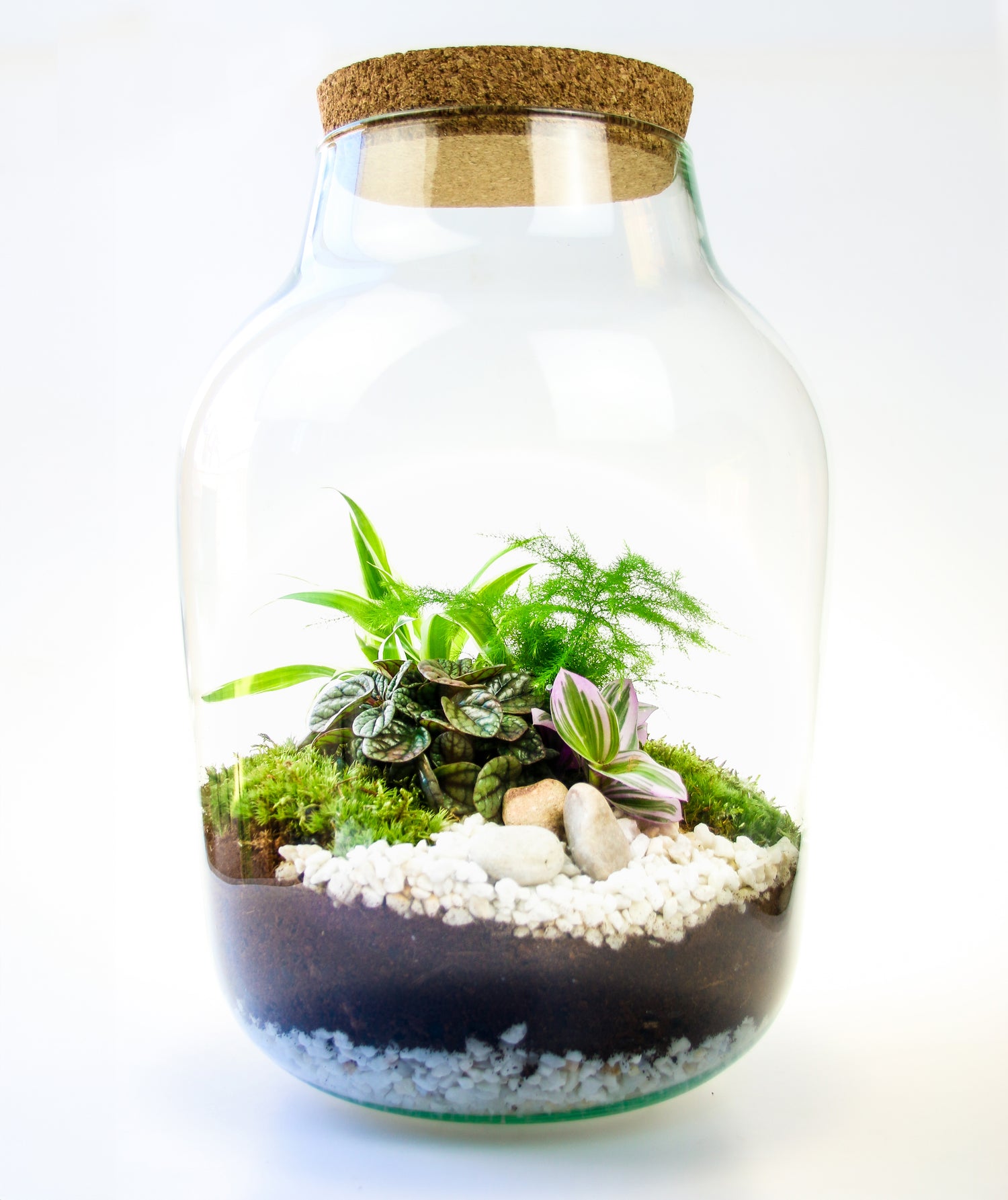 Premium quality terrarium jar