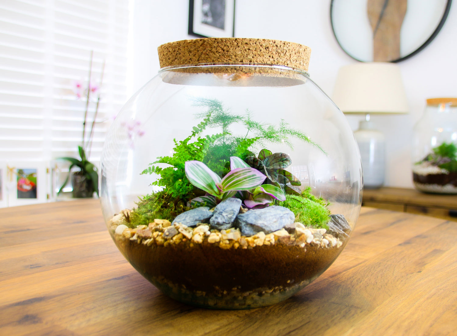 Fishbowl terrarium kit UK