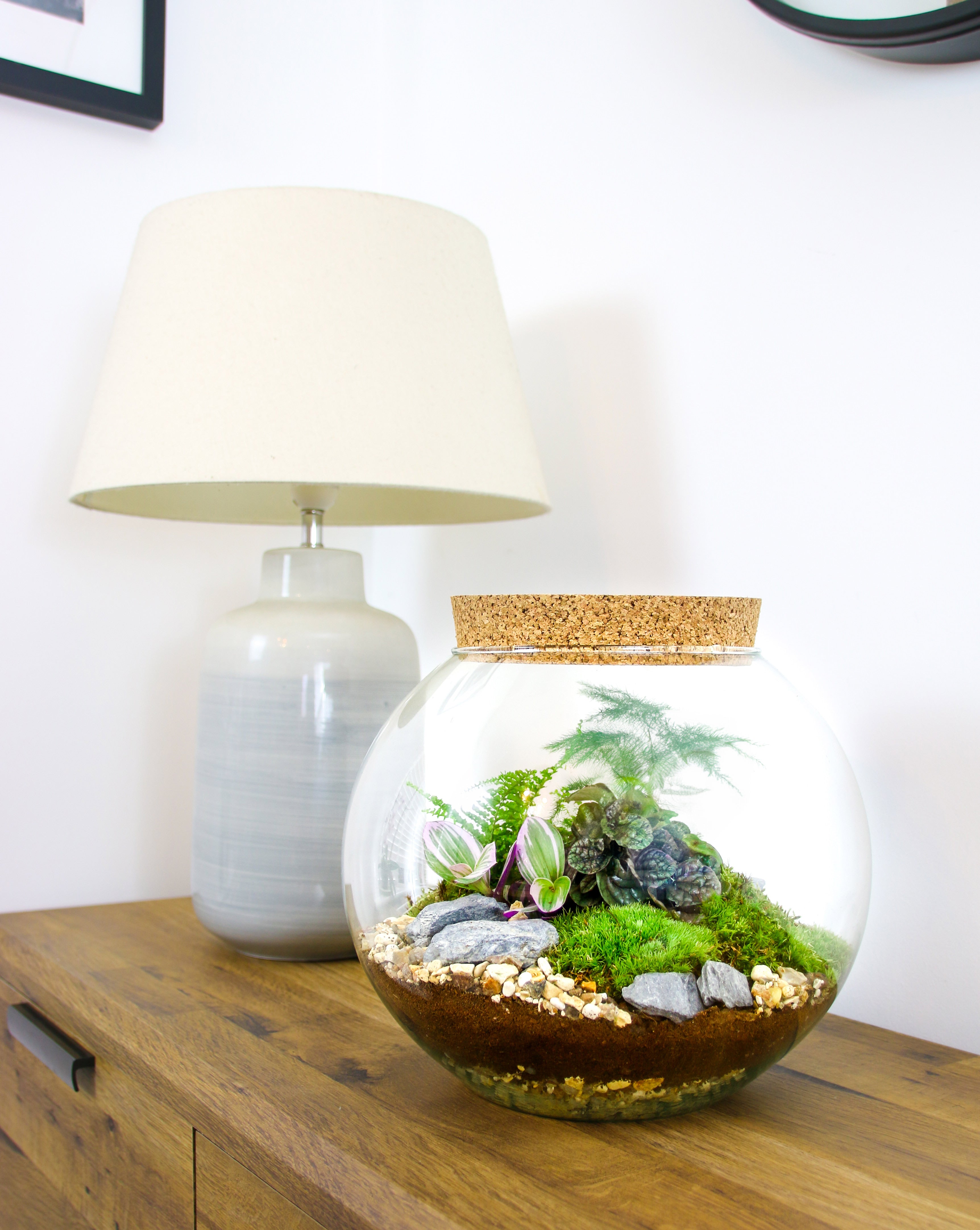 Terrarium gifts delivered across in the UK