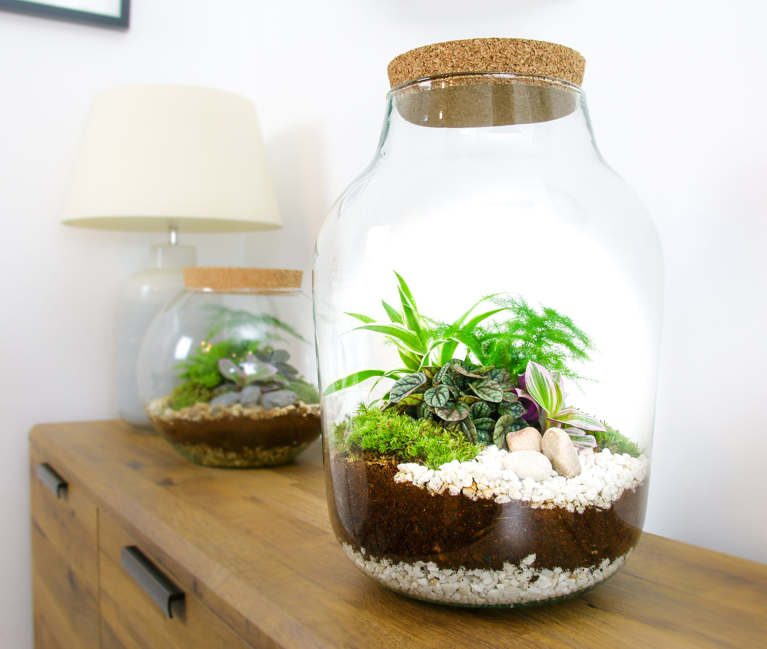 Large terrarium with real plants and moss