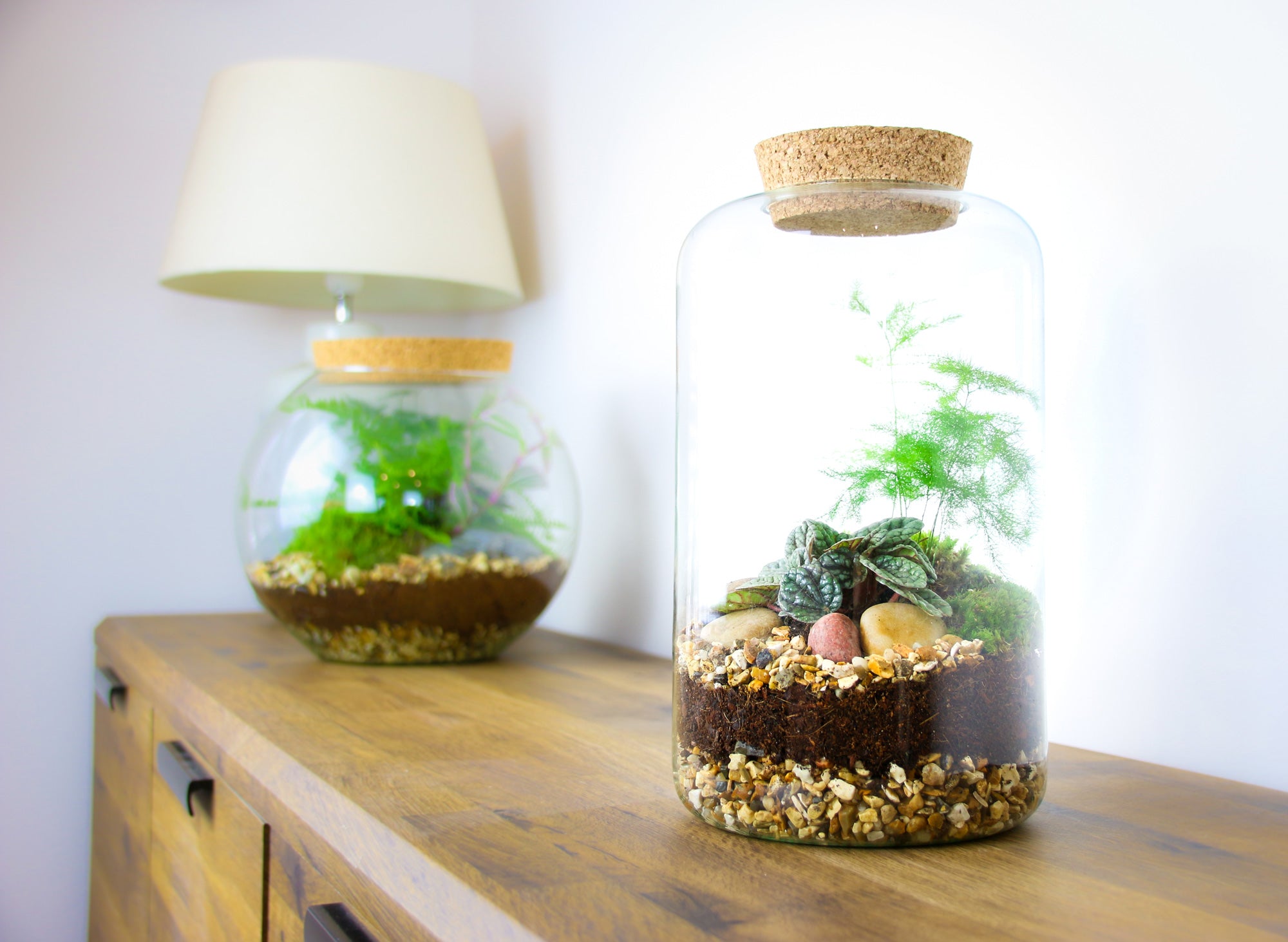 Recycled glass terrarium kit with cork lid