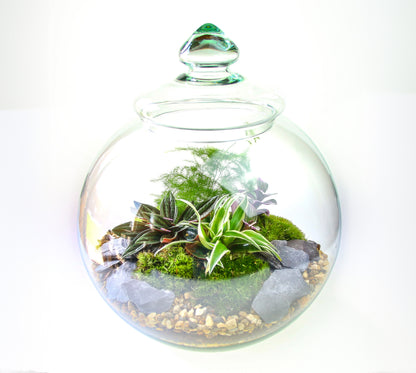 Traditional Victorian Terrarium Free UK delivery
