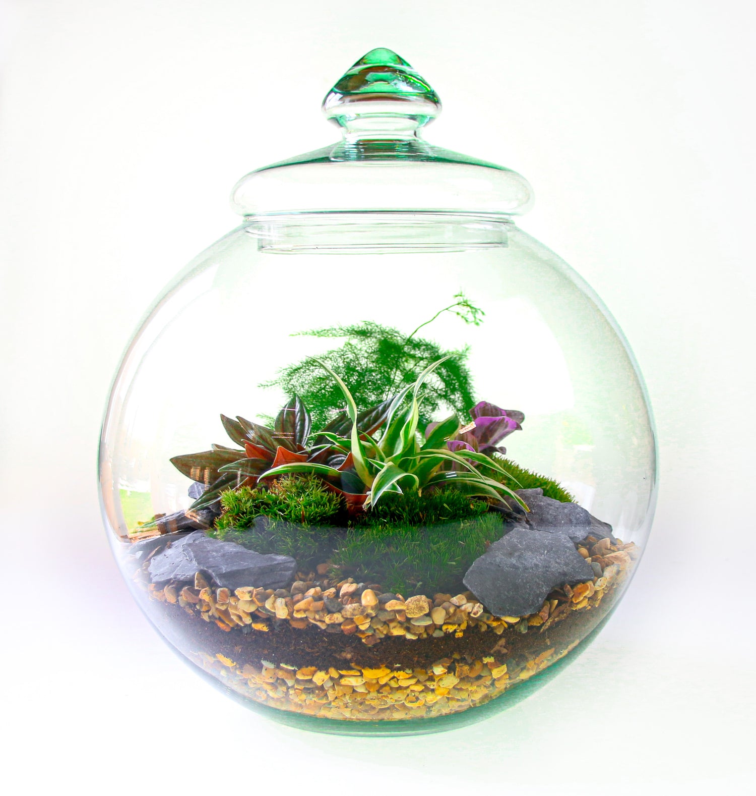 Traditional Victorian Terrarium