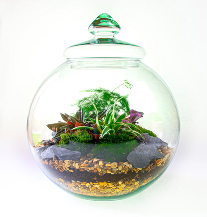 Traditional Victorian Terrarium