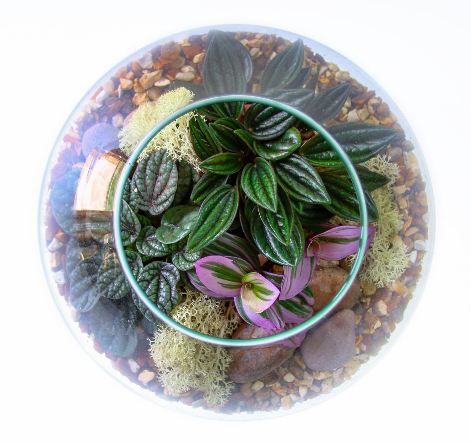 Living terrarium corporate gift