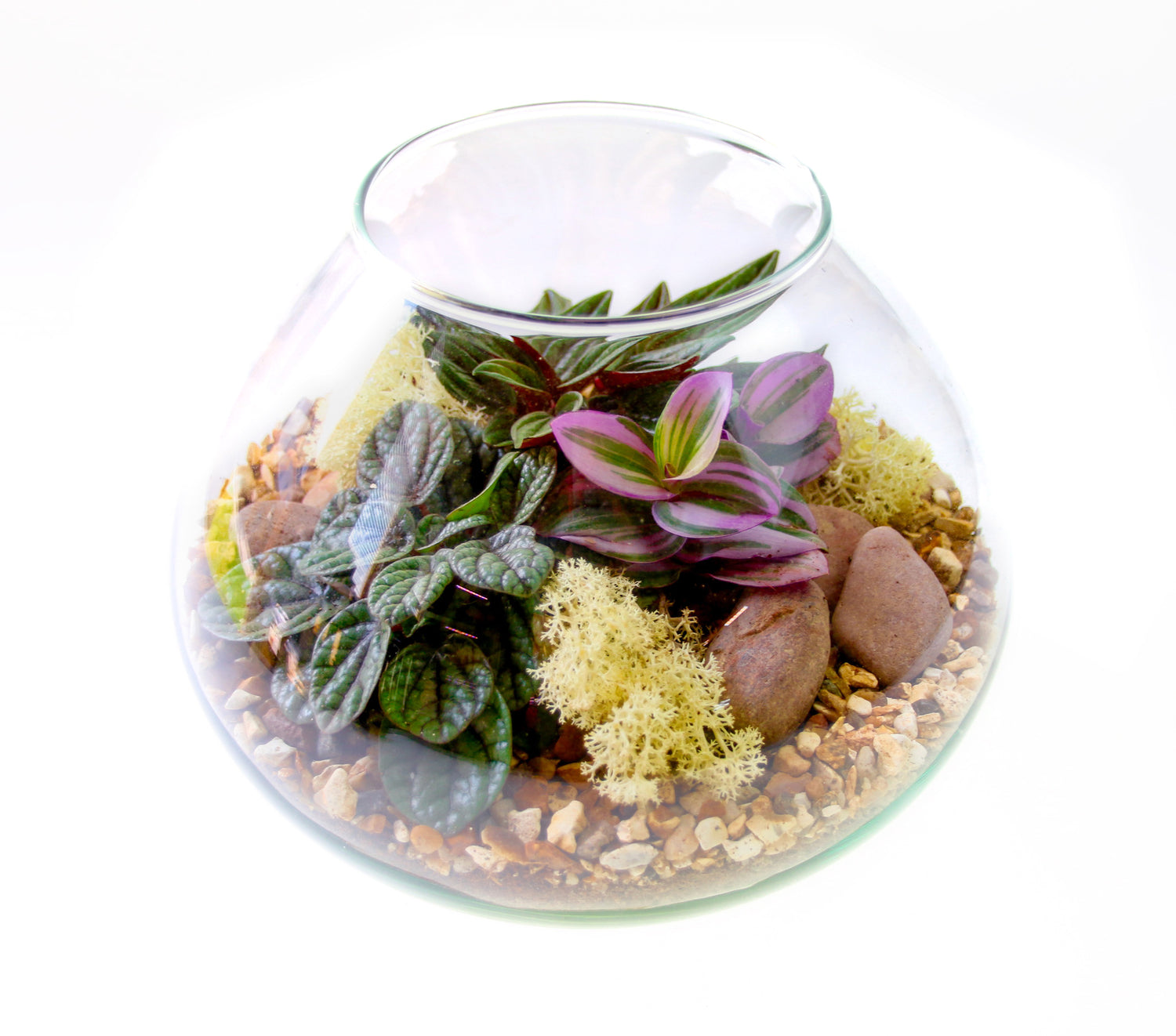 Glass terrarium with plants and pebbles on a white background