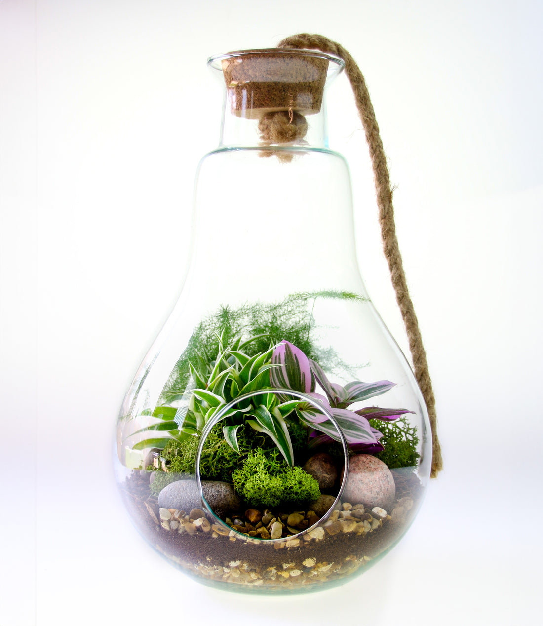 Pear shaped open terrarium gift