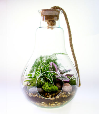 Pear shaped open terrarium gift