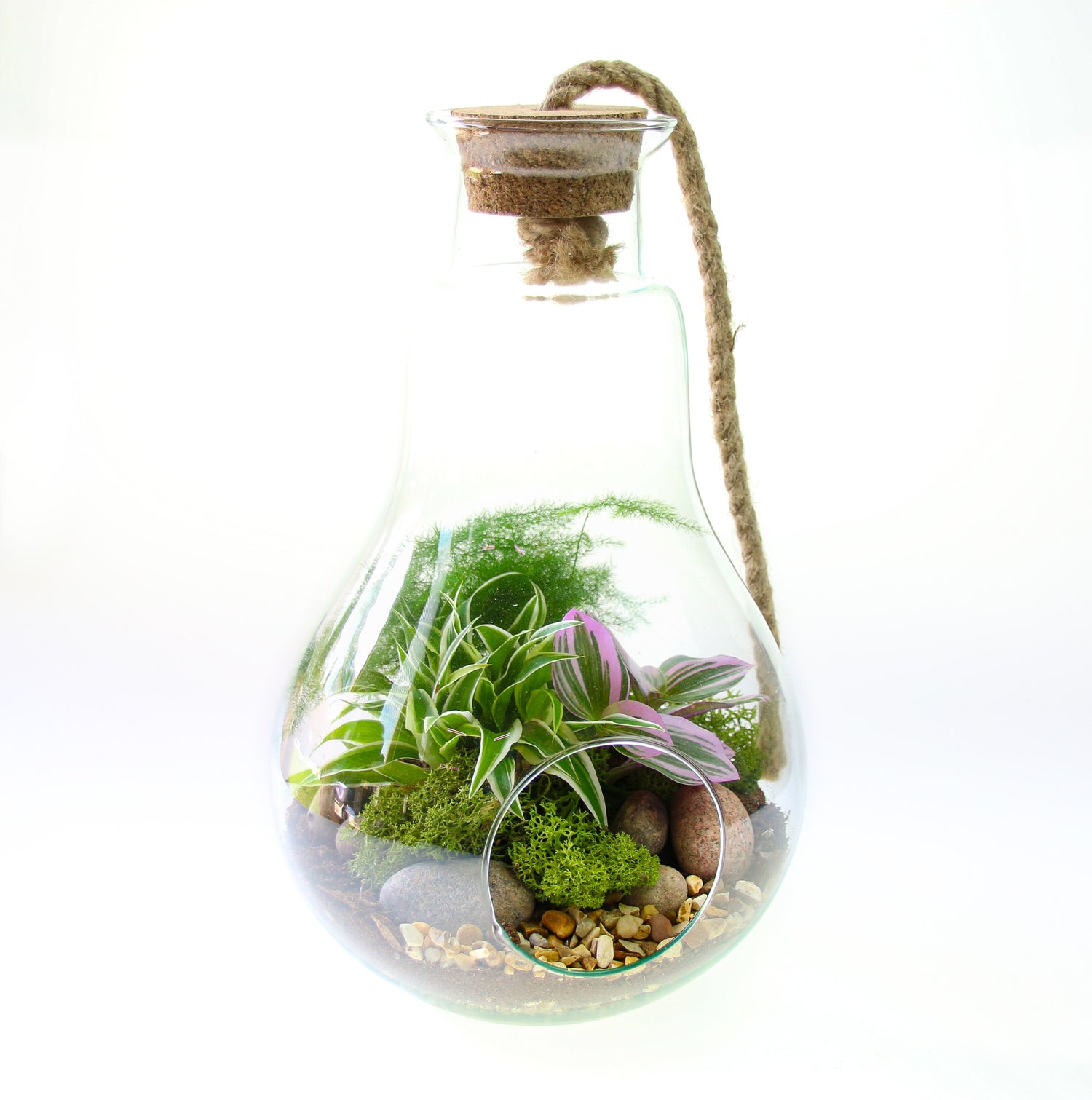 Glass and rope pear shaped terrarium kit