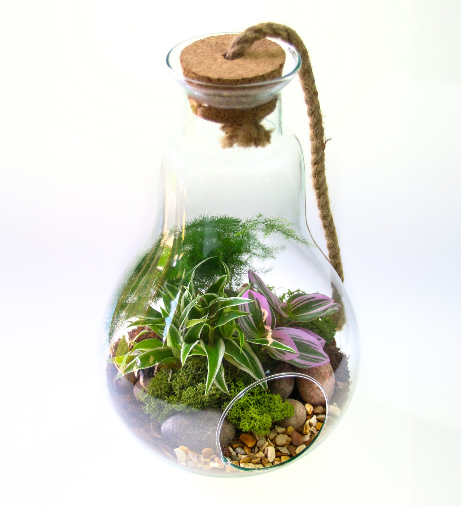 how to build a living terrarium ideas