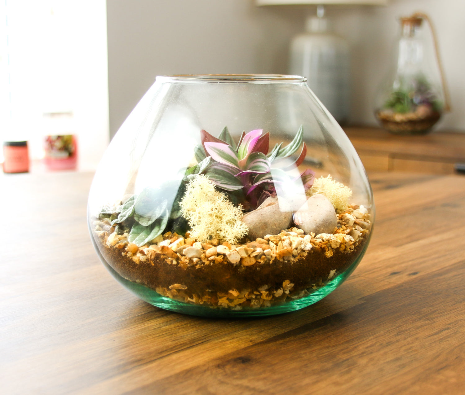 Open mini garden terrarium kit