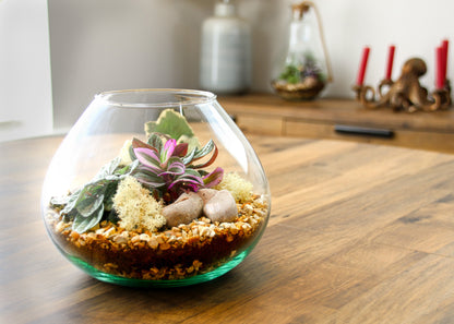 Gift idea for plant enthusiast