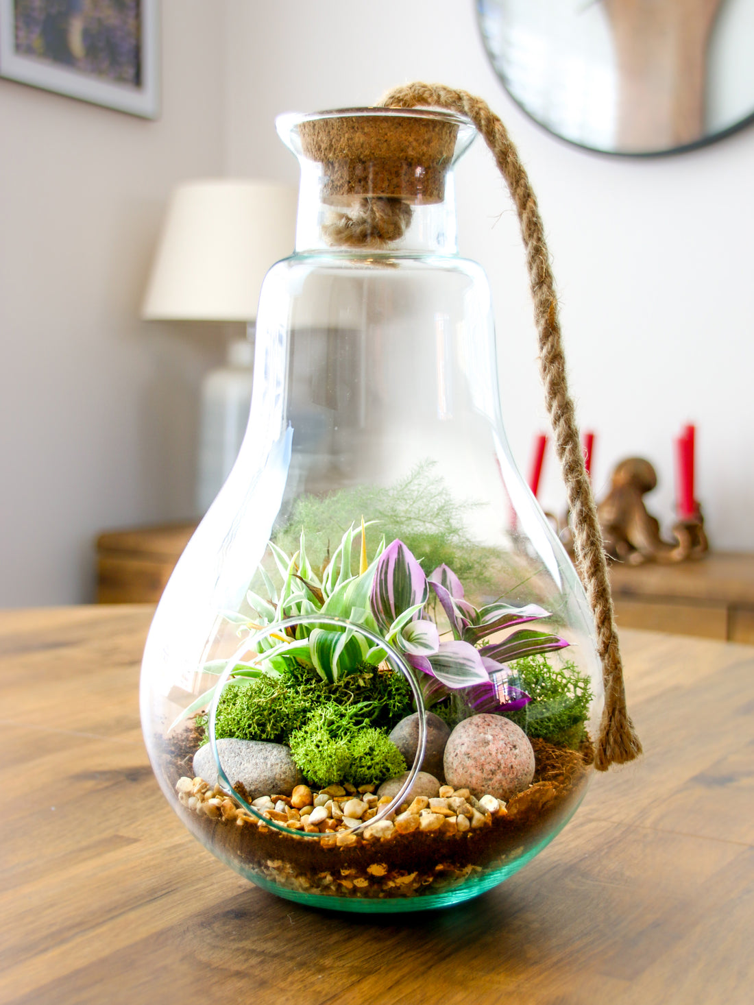 Terrarium gift for plant lovers