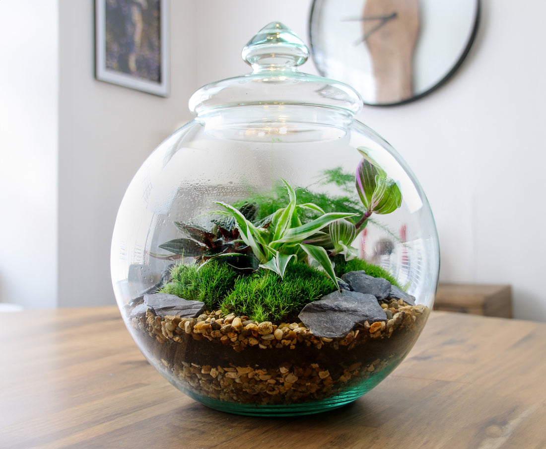 Traditional Vintage Style terrarium vase