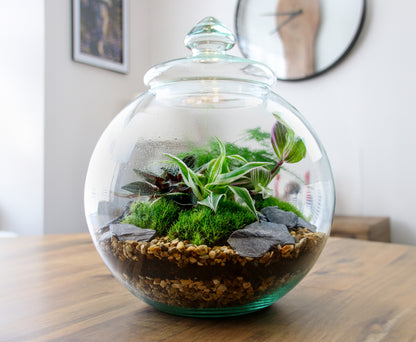 Traditional Vintage Style terrarium vase