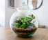 Traditional Vintage Style terrarium vase