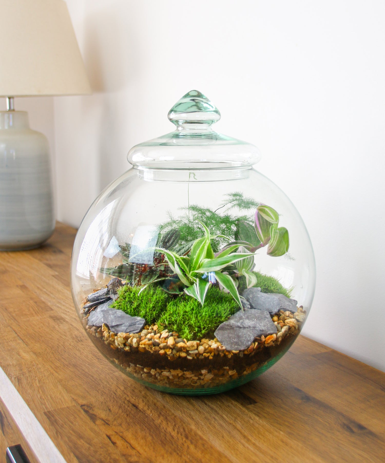 Buy a Traditional Victorian Terrarium UK