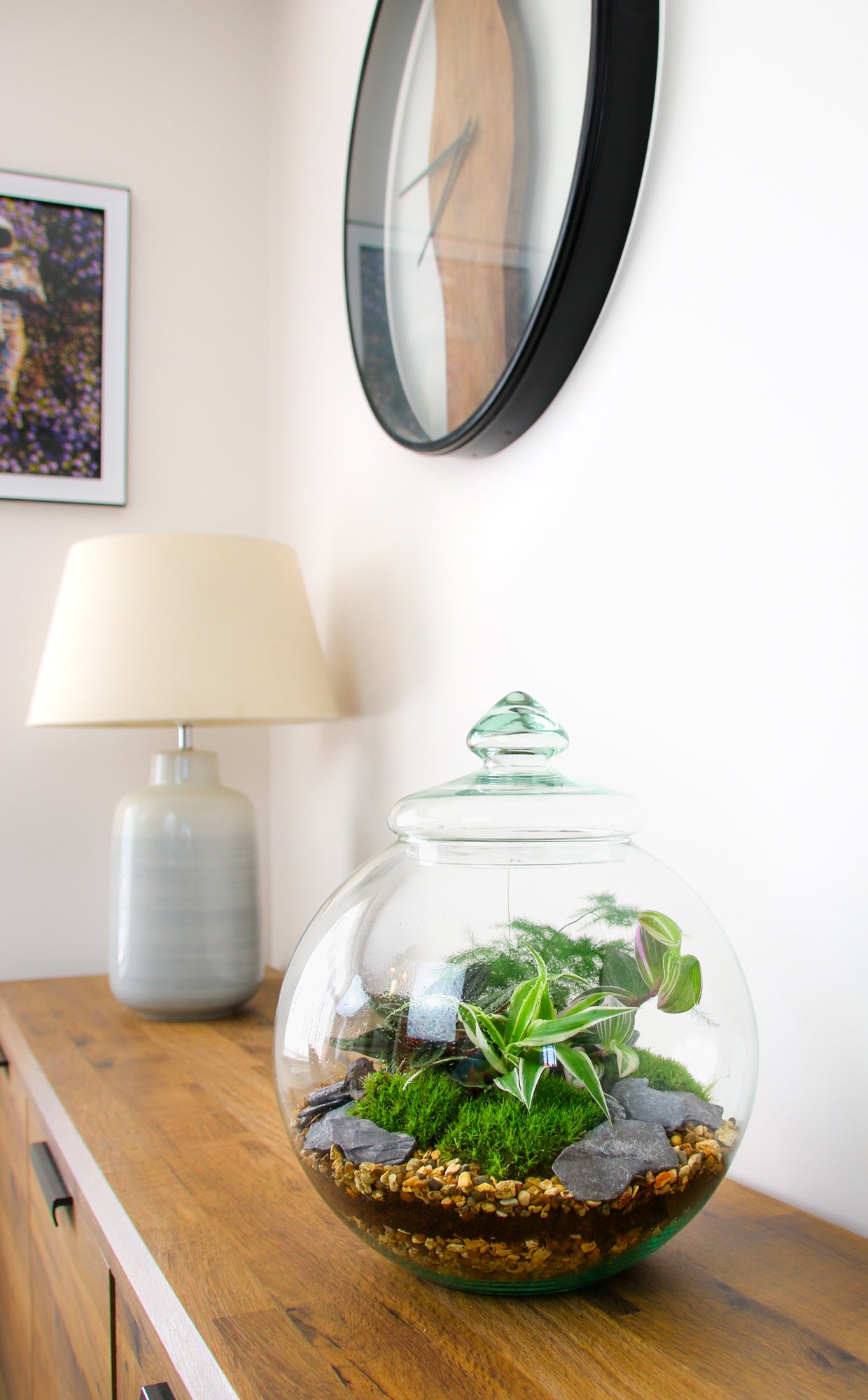 Terrarium kit with Traditional Victorian Glass Vase