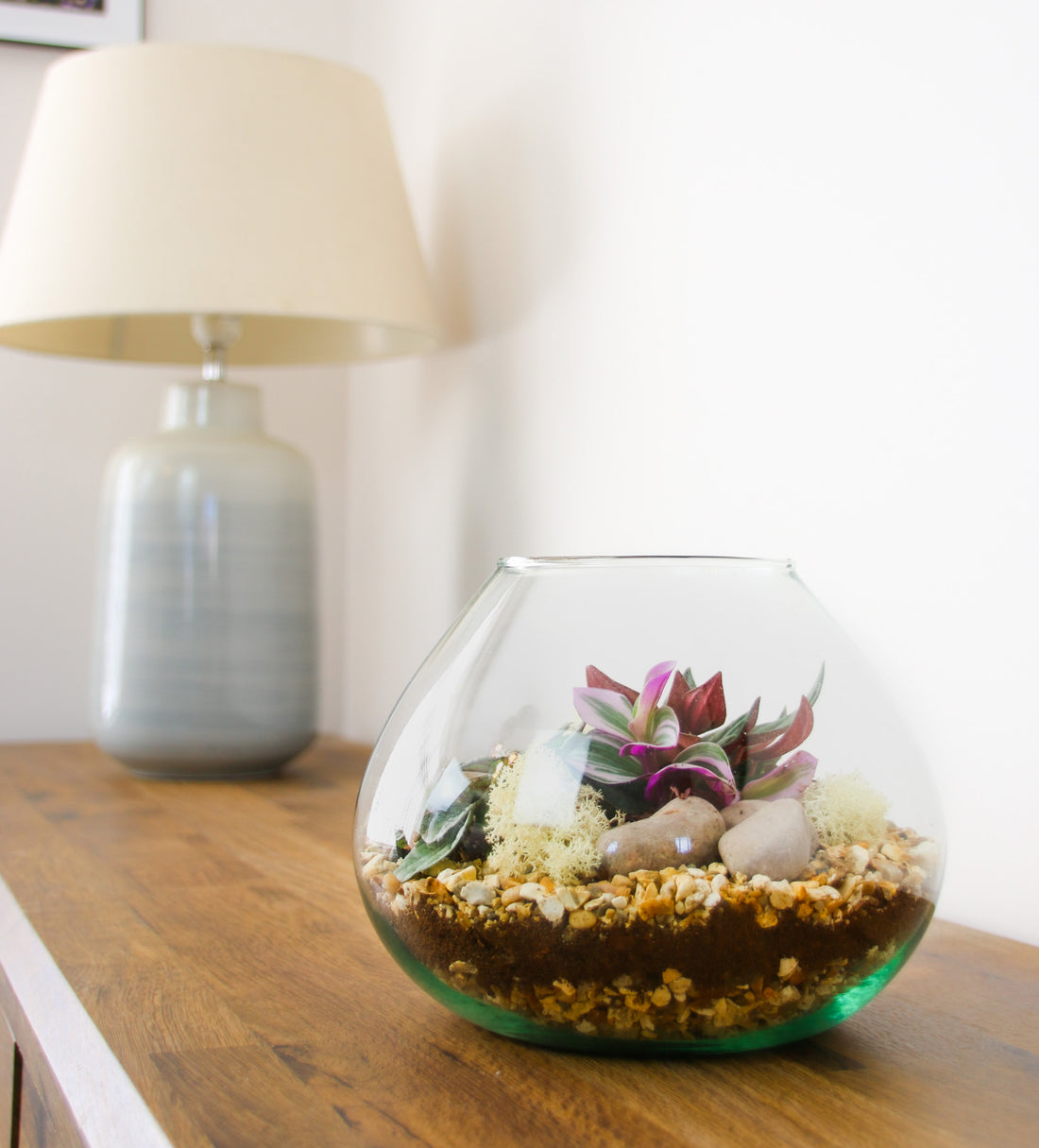 Corporate gifts for plant lover