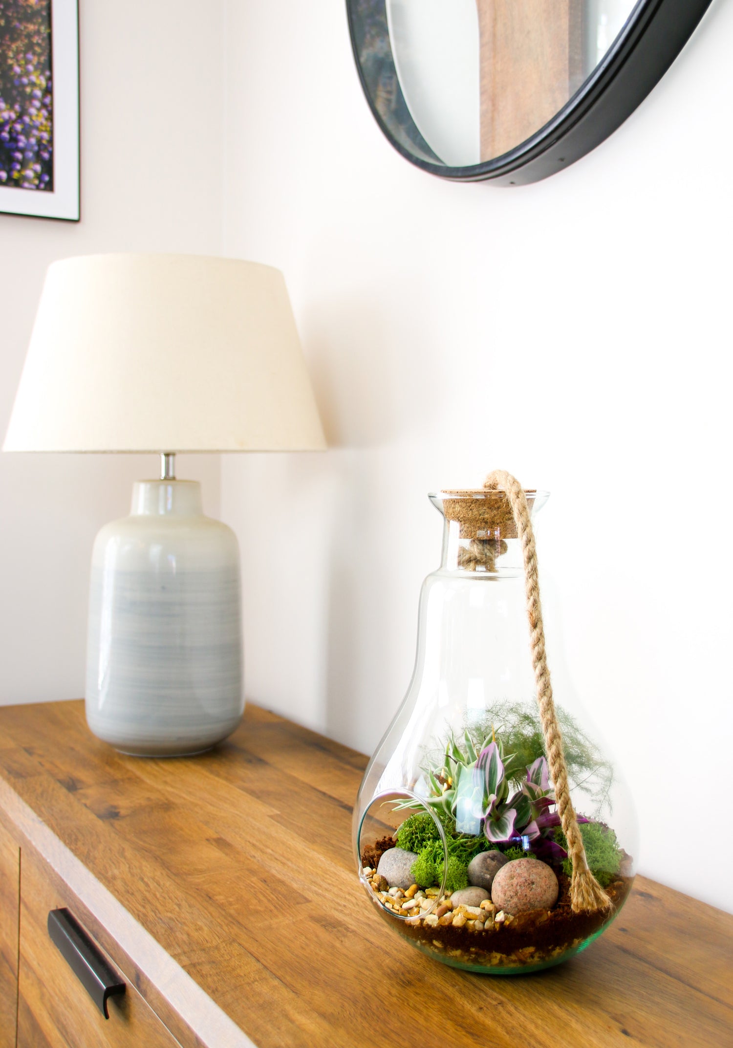 Planten terrarium van glas voor binnen Planten terrarium van glas voor binnen