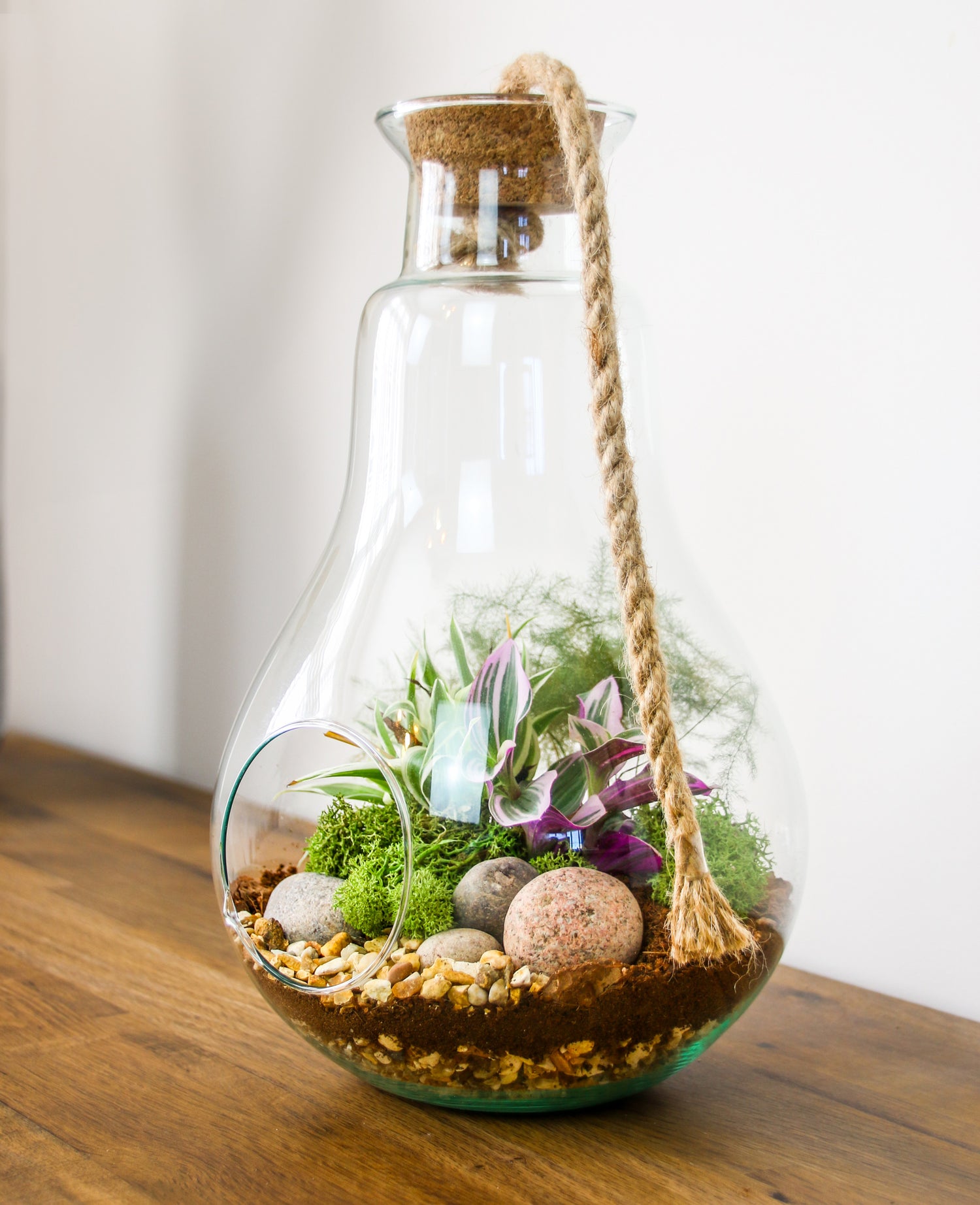 buy a glass terrarium gift online