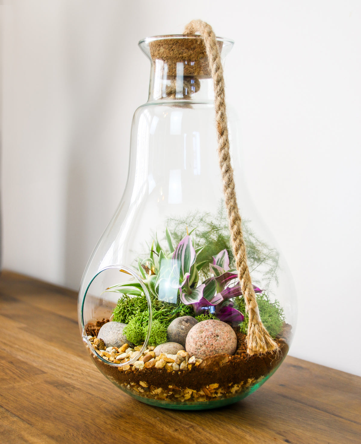 buy a glass terrarium gift online