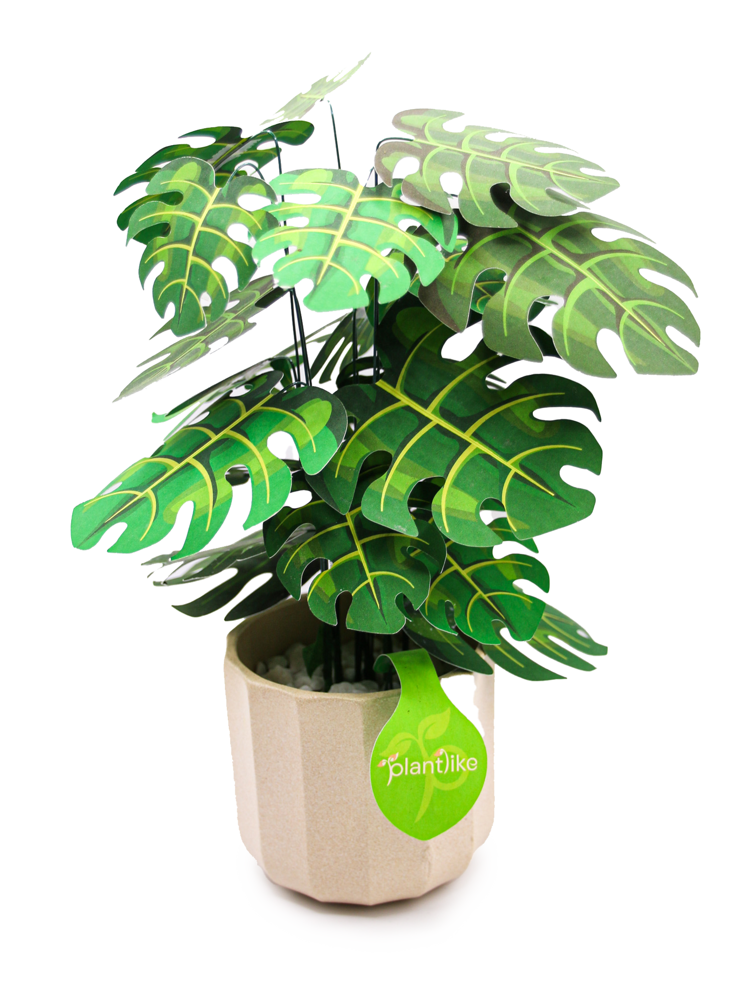 paper monstera plant Paper Cheese Plant Craft Kit | Personalised Co-worker Gift | Handmade